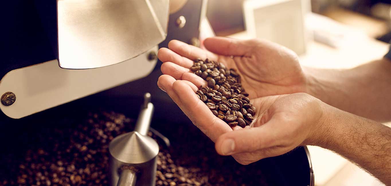 What are the 10 differences between Robusta and Arabica coffee?